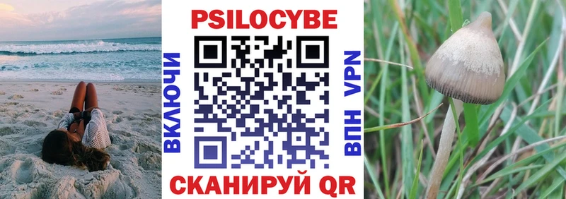 Купить где  Раменское  Псилоцибиновые грибы ЛСД 